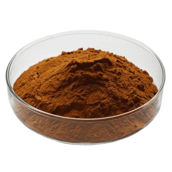 Maitake Extract Premium Quality by KINDHERB - Potent Immune Booster