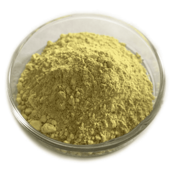 Premium Quality Diosmin Powder from KINDHERB - The Trusted Leader in Herbal Extracts