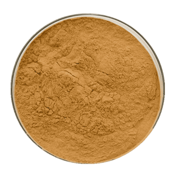 Discover KINDHERB's Saw Palmetto Extract: The Ultimate Health Enhancer