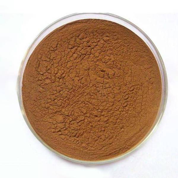 Kindherb's Premium Arnica Montana Extract: The Perfect Ingredient for Enhanced Herbal Care