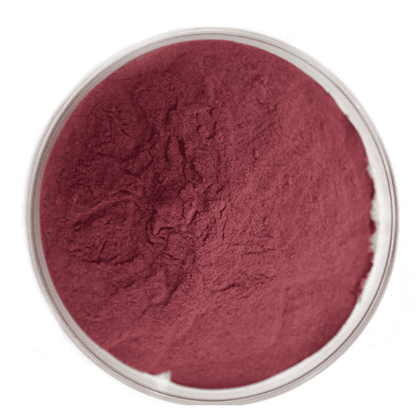 High-Quality Bilberry Extract from KINDHERB: Rich in Antioxidants & Beneficial Nutrients