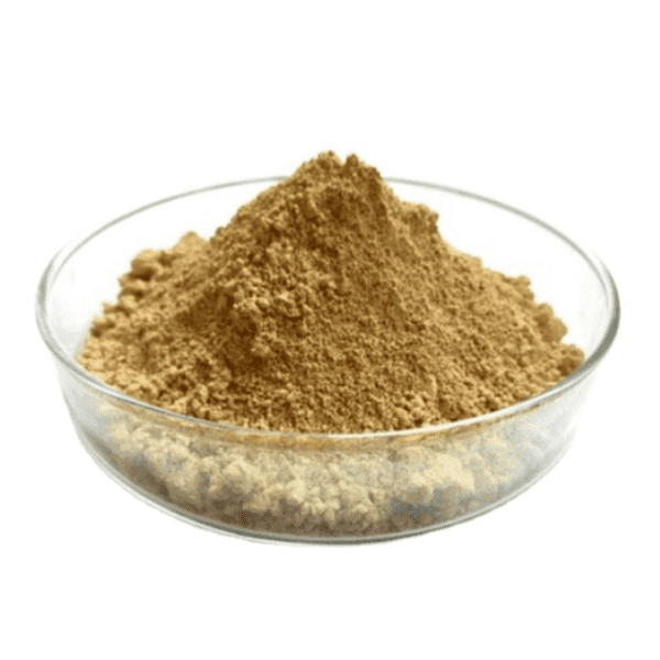 Premium Cactus Extract by KINDHERB: High-Quality Appetite Suppressant & Weight Loss Aid