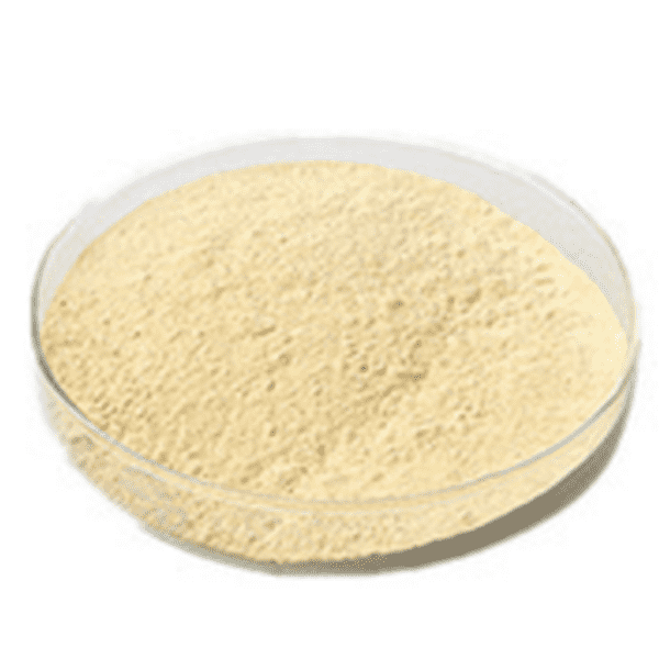 Premium Wheat Grass Extract from Korean Ginseng by KINDHERB