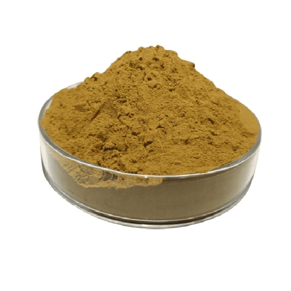 Premium Tamarindus Indica Extract by KINDHERB - Quality Herbal Extract Supplier & Manufacturer