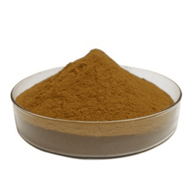 KINDHERB's Premium Quality Verbena Officinalis Extract