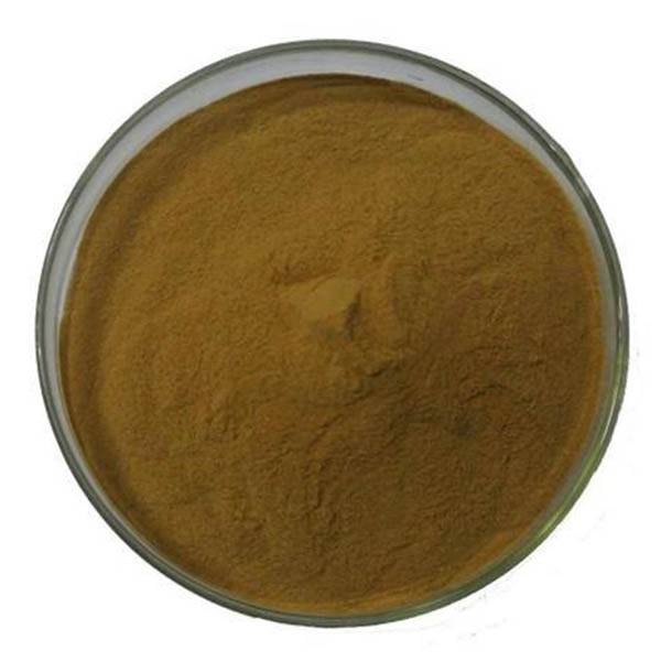 High-Quality Alga Extract by KINDHERB: Efficacy & Quality Guaranteed