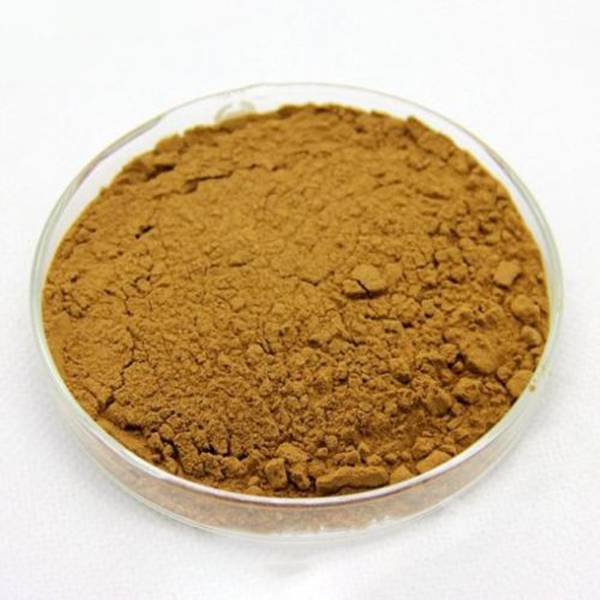 Perilla Leaf Extract by KINDHERB - High Quality, Food Grade and Potent Anti-Cancer Properties