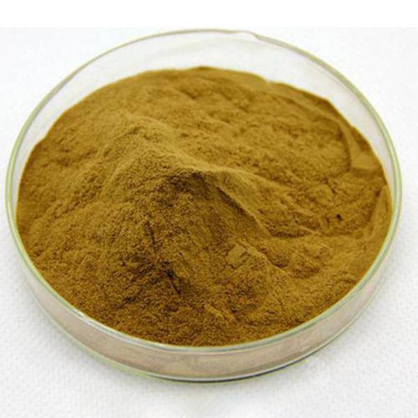 KINDHERB Propolis Extract: A High-Quality Immunity Booster and Health Enhancer