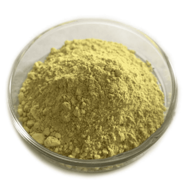 KINDHERB's Scutellaria Baicalensis Extract: Premium Quality for Health & Wellness