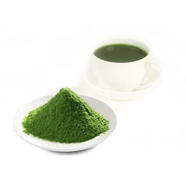 Experience the Health Benefits of KINDHERB's Premium Wheat Grass Juice Powder